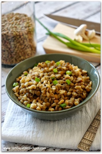 Slow Cooker Recipe for Lentil and Barley Pilaf