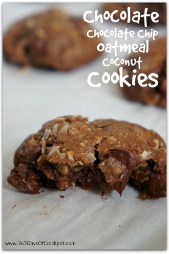 Recipe for Chocolate-Chocolate Chip-Oatmeal-Coconut-Raisin Cookies {Fun Friday}