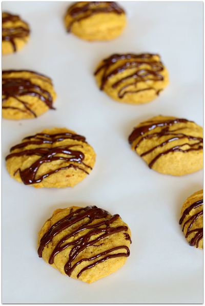 Soft and chewy pumpkin cookies drizzled with dark chocolate