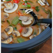 Slow Cooker Thai Style Chicken and Coconut Soup