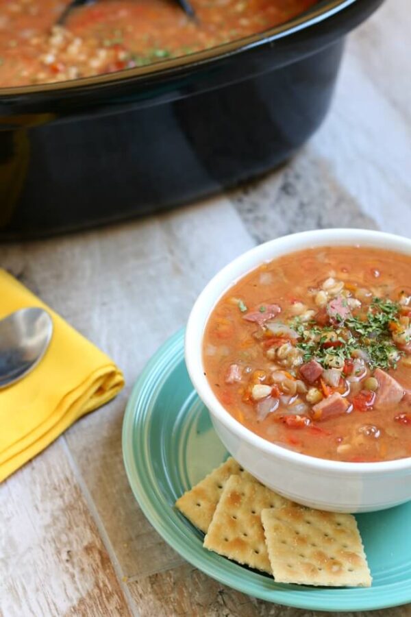 Slow Cooker Ham, Lentil and Barley Soup 365 Days of Slow Cooking and