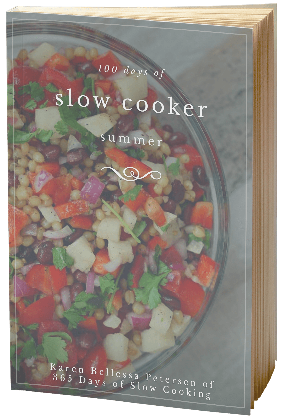 100 Days of Slow Cooker Summer E-Book