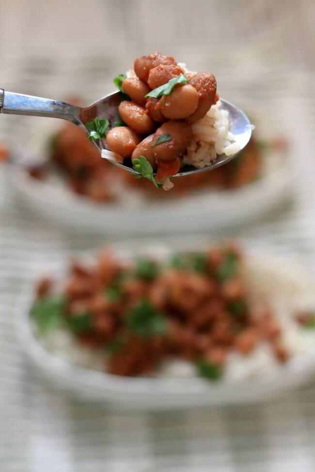 Dave Ramsey Slow Cooker Beans and Rice Recipe-if you