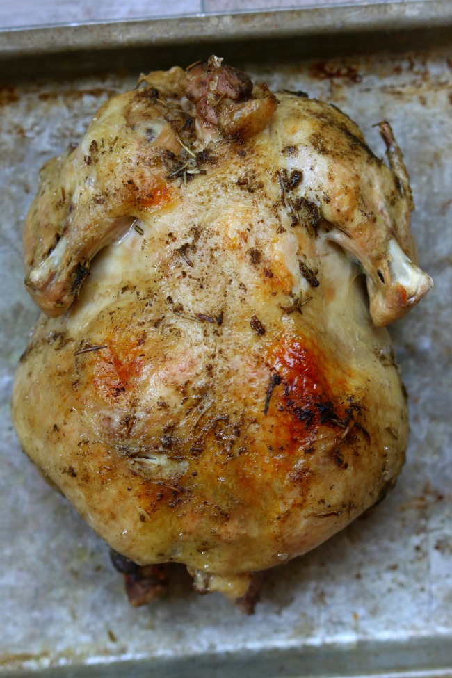 How to cook a whole frozen chicken in your Instant Pot--If you love getting those whole rotisserie chickens at your grocery store, you'll love this recipe for pressure cooker whole seasoned chicken. The chicken is cooked in minutes in your Instant Pot (my chicken was actually totally frozen) and then stuck under the broiler to crisp up the skin. Slice the chicken up to eat plain or use it in any recipes that call for cooked chicken. 