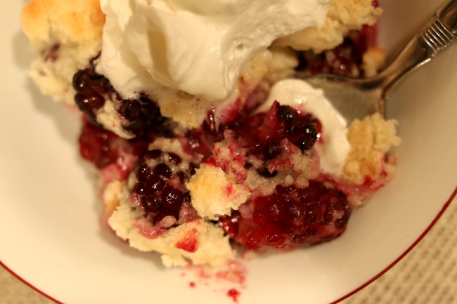 Instant Pot 3-Ingredient Blackberry Cobbler--fresh blackberries are topped with a white cake mix/butter mixture and cooked quickly in your electric pressure cooker. Serve topped with vanilla ice cream or whipped cream and enjoy an amazing dessert with minimal work and time!