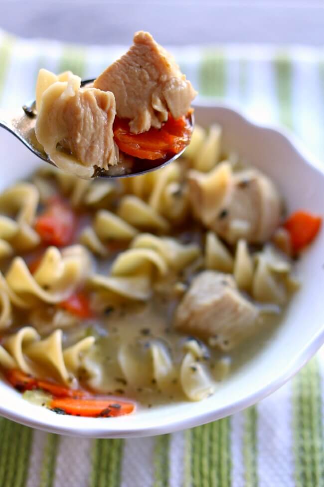 This recipe for Instant Pot Chicken Noodle Soup is fast and easy to make. No need to cook the chicken ahead of time, just add it straight to your pressure cooker along with the veggies and broth. We love making this recipe on a cold day or when we have a sick one in the house. 