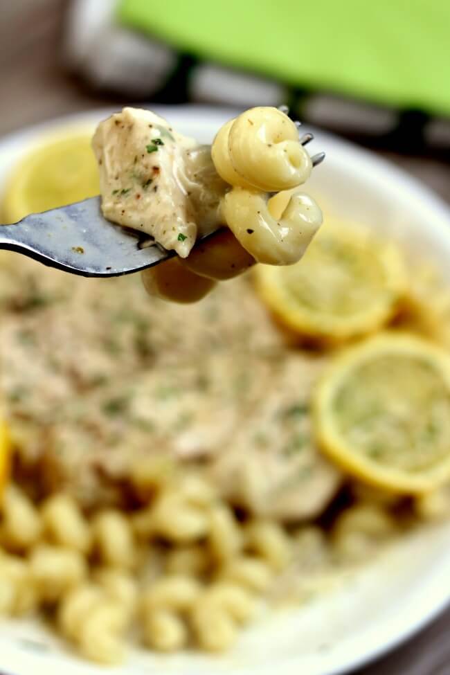 Slow Cooker Creamy Lemon Parmesan Chicken--tender bites of chicken enveloped in a creamy parmesan and lemon sauce. Serve the chicken and sauce with pasta, rice or even zoodles. 