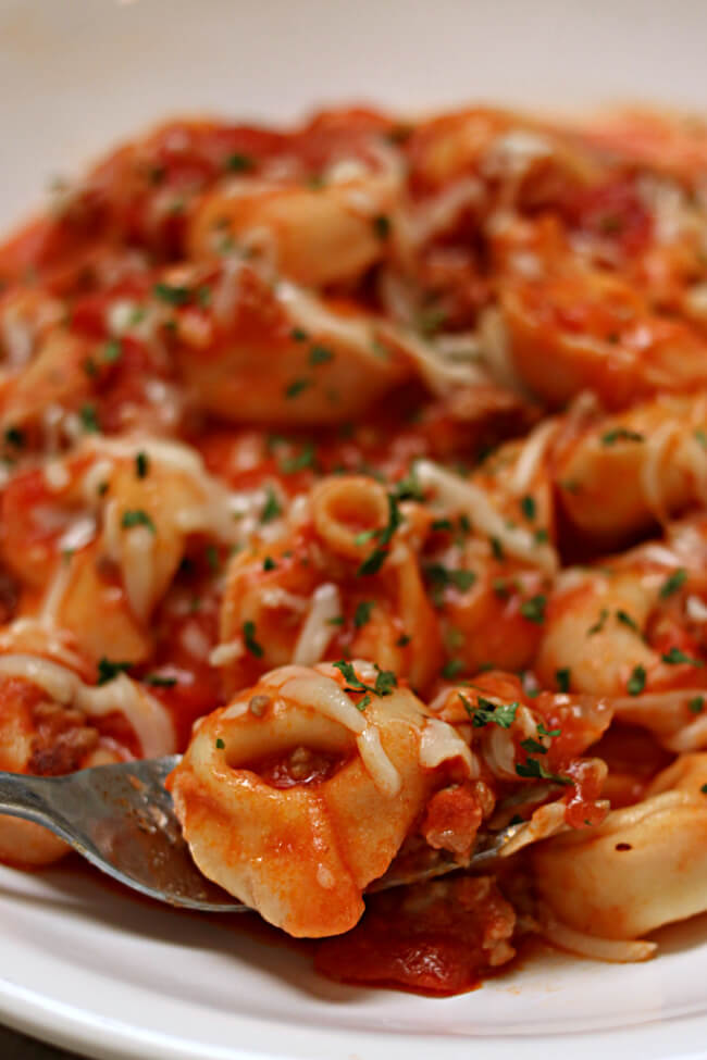 Slow Cooker Italian Sausage Tortellini in Creamy Tomato Sauce is a super easy recipe that can be make with just 5-ingredients and a few minutes of hands-on time. 