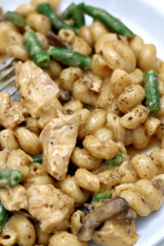 Instant Pot Cheesy Chicken Pasta