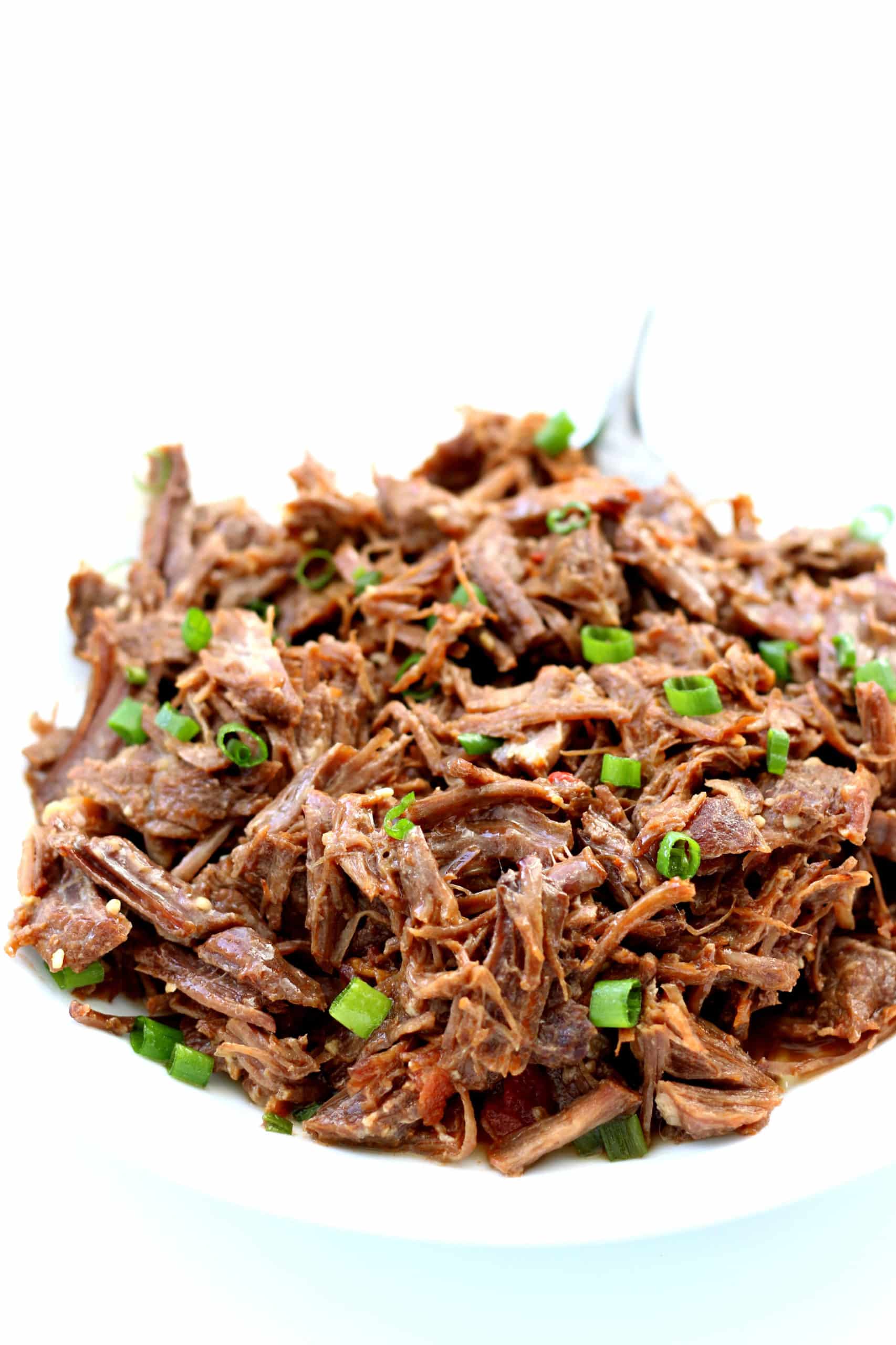 Instant Pot Tender Salsa Beef - 365 Days of Slow Cooking and Pressure ...