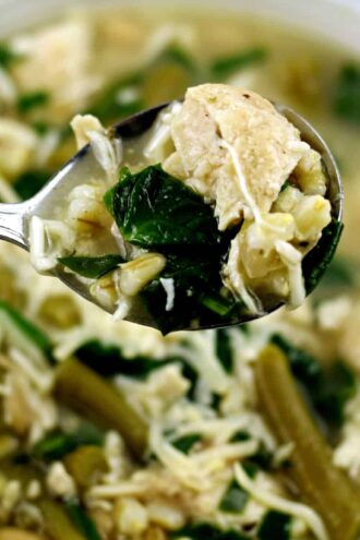 Instant Pot Green and White Soup