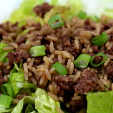Instant Pot Honey Garlic Pork