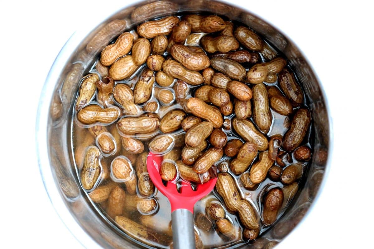 Instantaneous Pot Boiled Peanuts