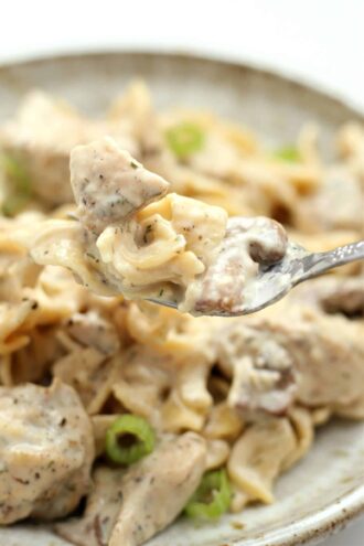 Instant Pot Chicken Stroganoff