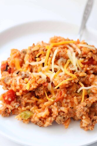 Instant Pot Explosion Casserole