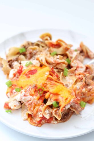 Instant Pot Sour Cream Noodle Bake