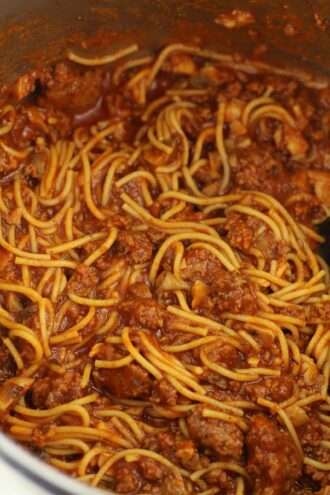 Instant Pot Easy Does It Spaghetti