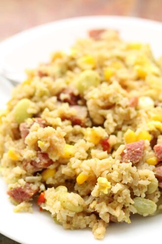 Instant Pot Emergency Fried Rice