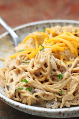 Instant Pot “Stole My Boyfriend” Tetrazzini