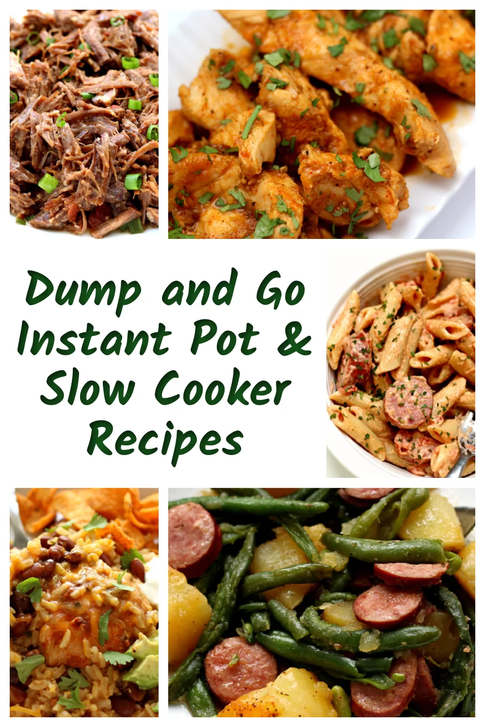 65 Dump and Go Instant Pot and Slow Cooker Recipes - 365 Days of