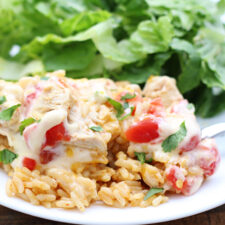 Texas King Ranch Chicken Casserole (Instant Pot)