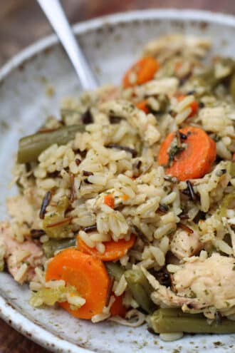 Instant Pot Chicken Spectacular