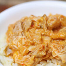 Instant Pot 5-Ingredient Salsa Chicken