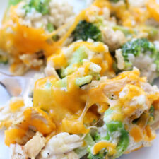 Skinny Casserole