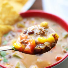Instant Pot Nacho Soup