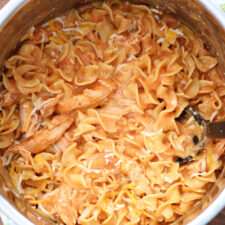 Instant Pot Cranky Mom Dinner