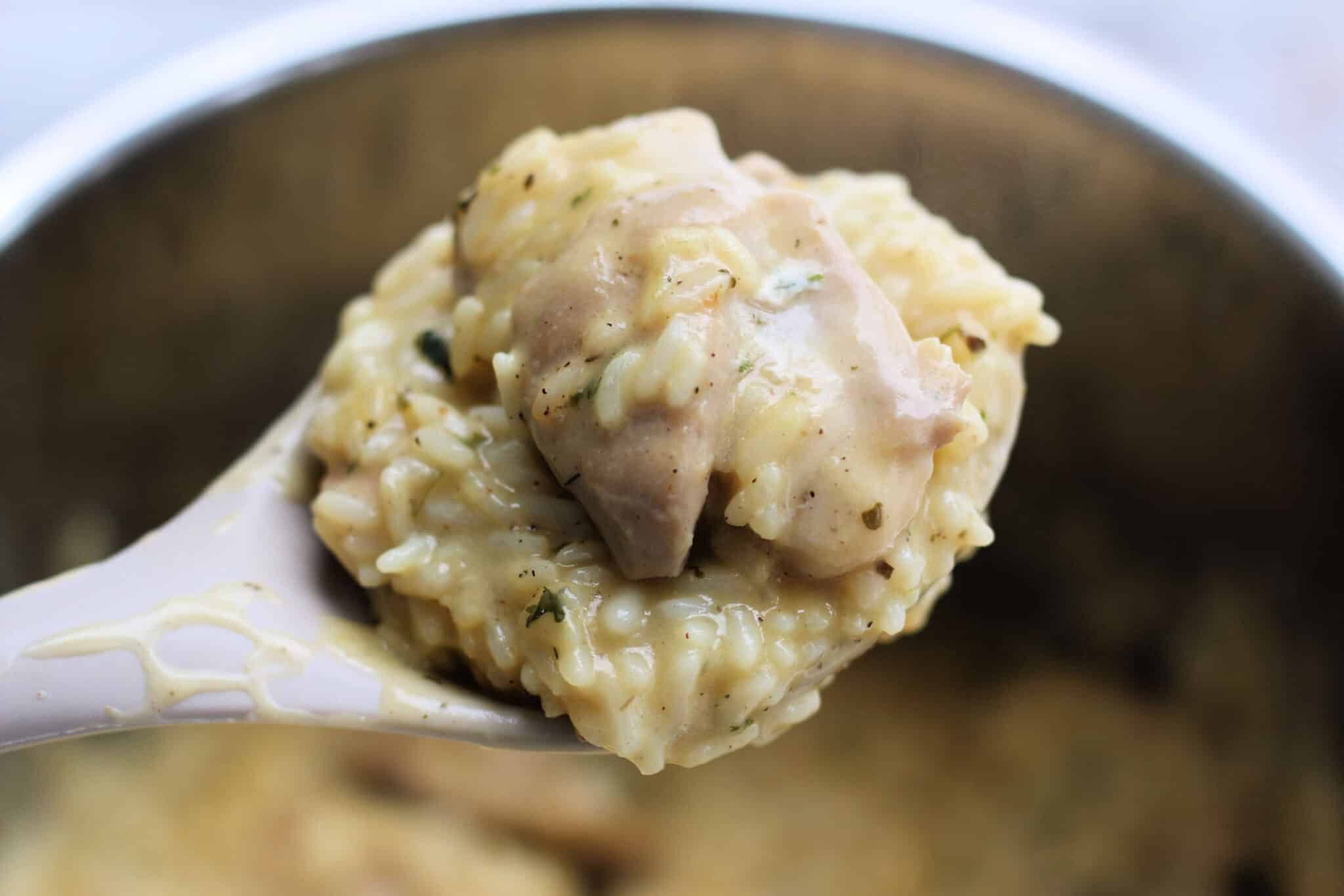 Death Chicken Death Chicken - 365 Days of Slow Cooking and Pressure Cooking