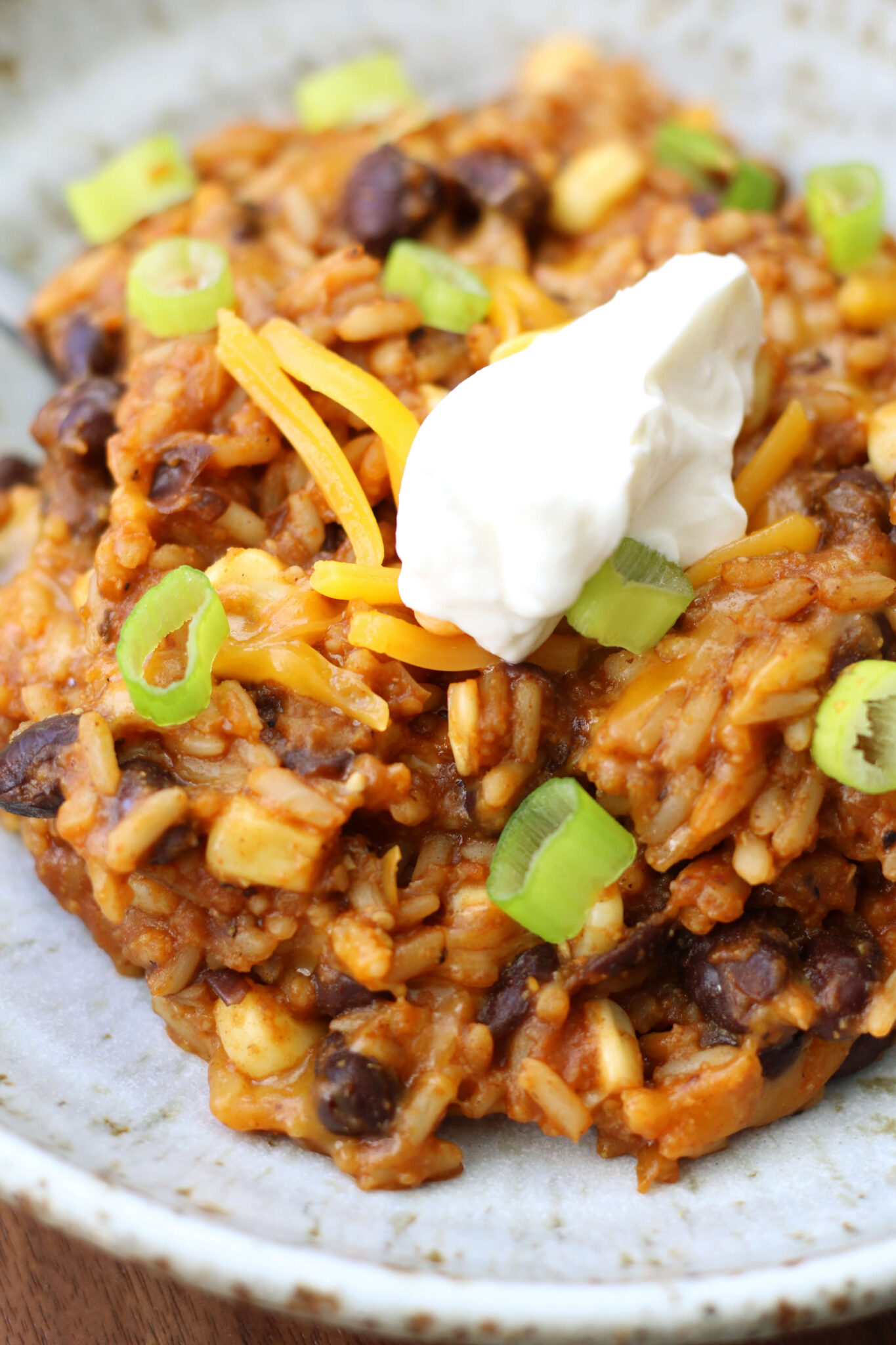Cecilia's Casserole - 365 Days of Slow Cooking and Pressure Cooking