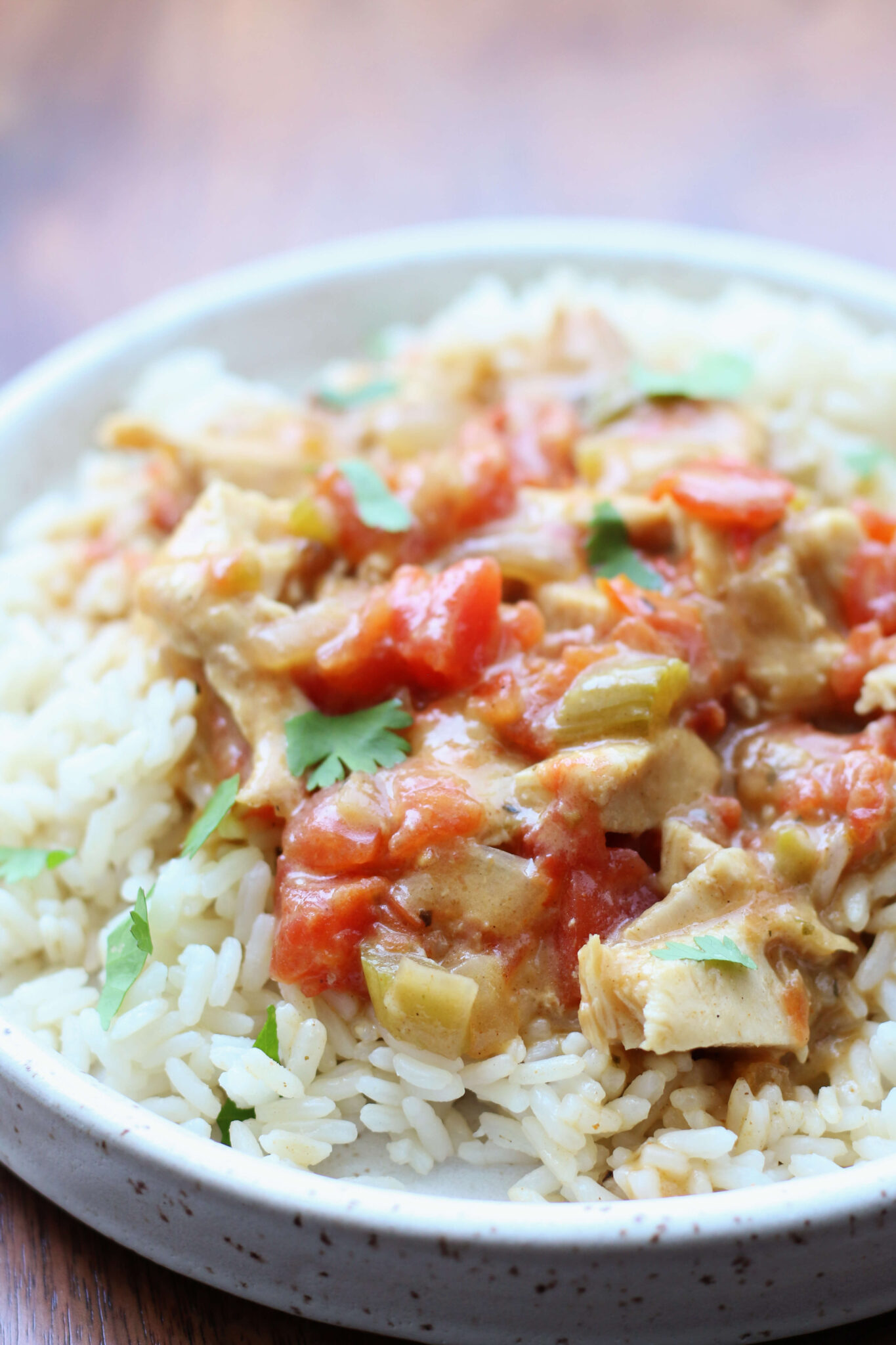 Lone Star Chicken Casserole - 365 Days of Slow Cooking and Pressure Cooking