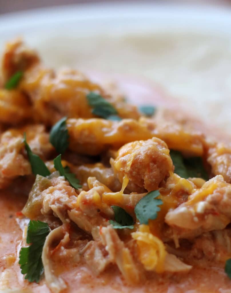 Crockpot Salsa Chicken