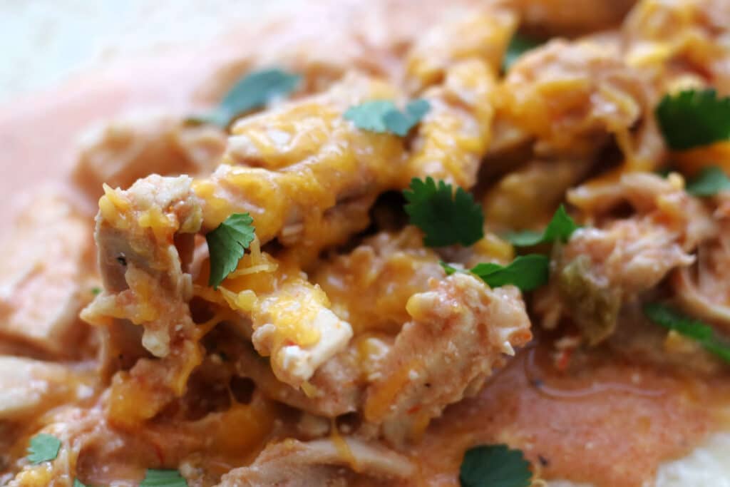 Crockpot Salsa Chicken
