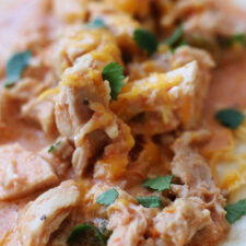 Crockpot Salsa Chicken