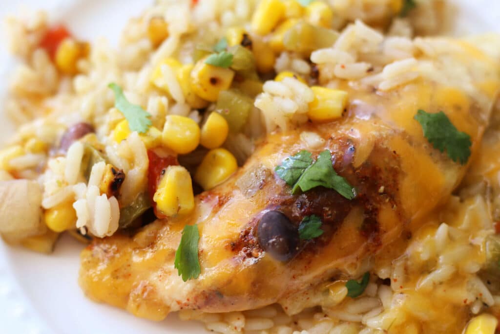 Slow Cooker Chicken Enchilada Casserole