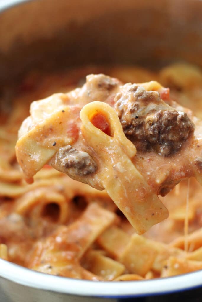 Hamburger Supreme Casserole