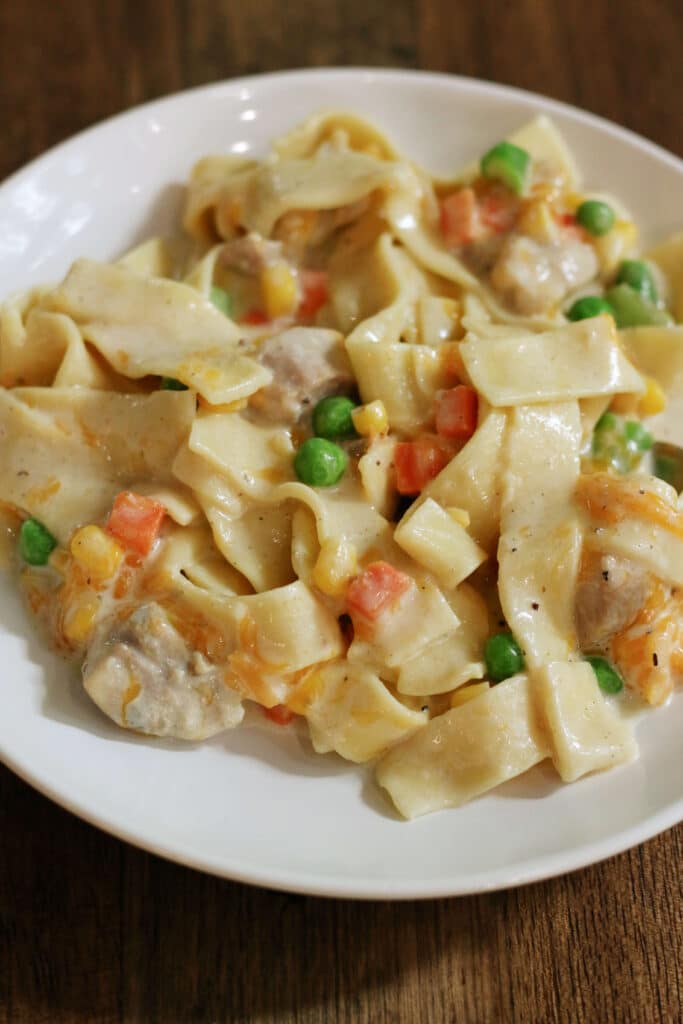 Instant Pot Dolly's Creamy Chicken Noodle Casserole