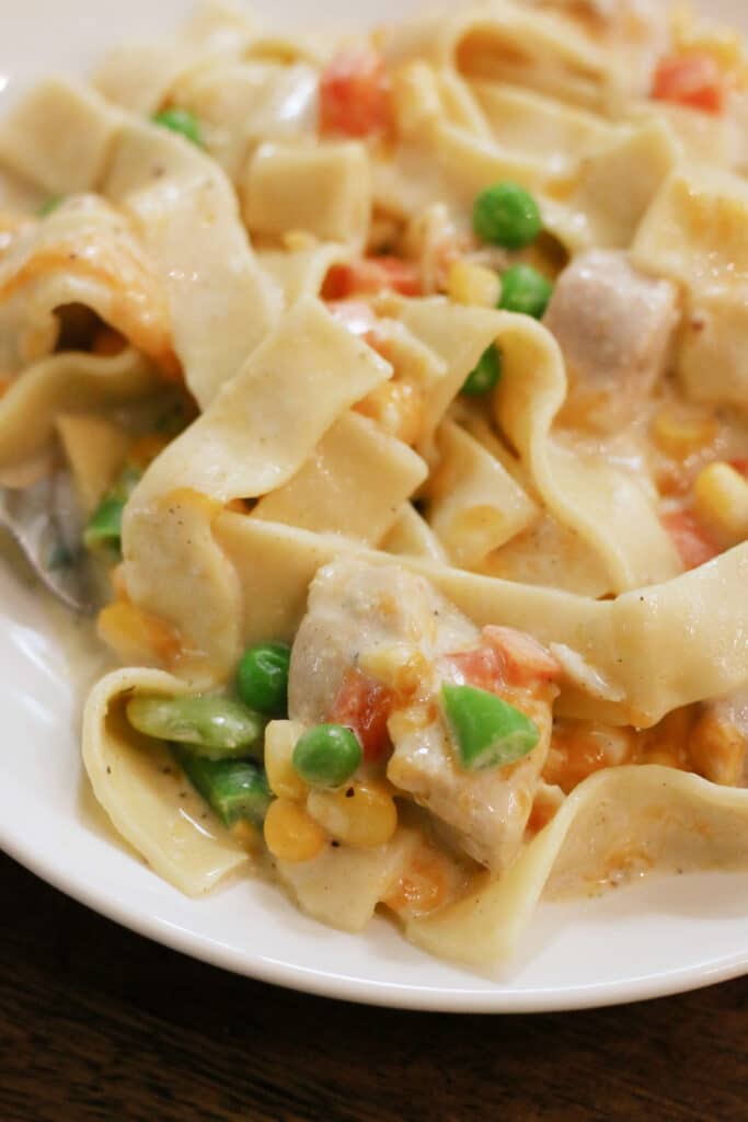 Instant Pot Dolly's Creamy Chicken Noodle Casserole