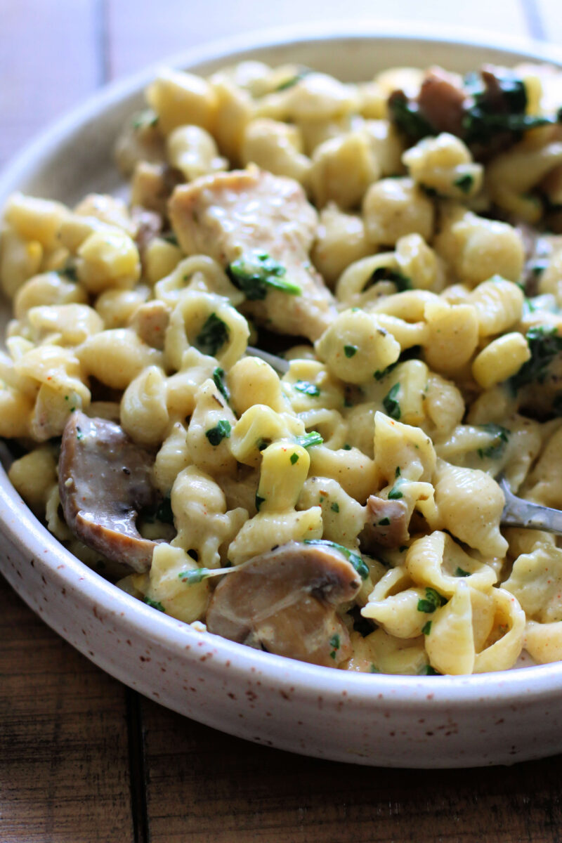 Instant Pot Weeknight Creamy Chicken Shells