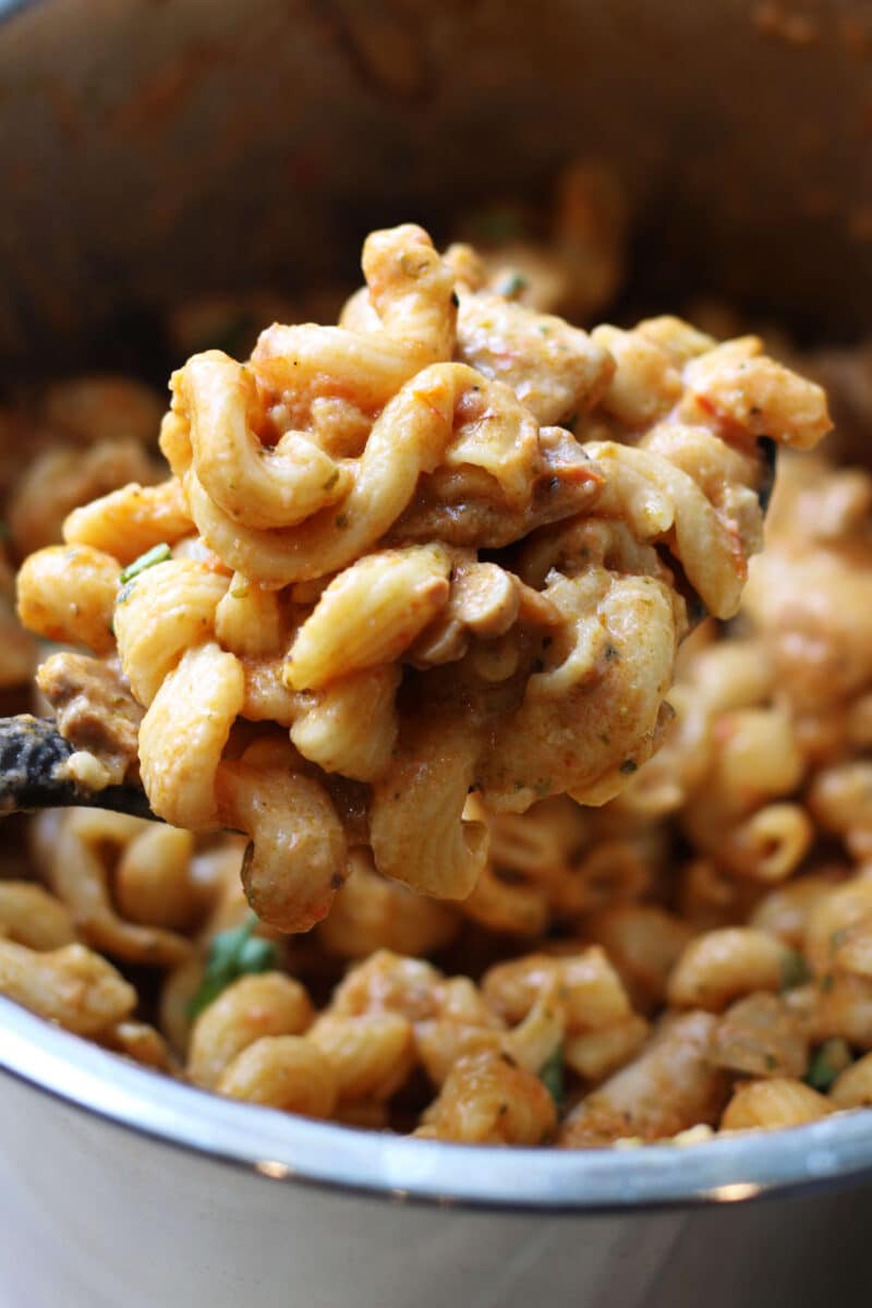 Instant Pot Creamy Boursin Chicken Pasta