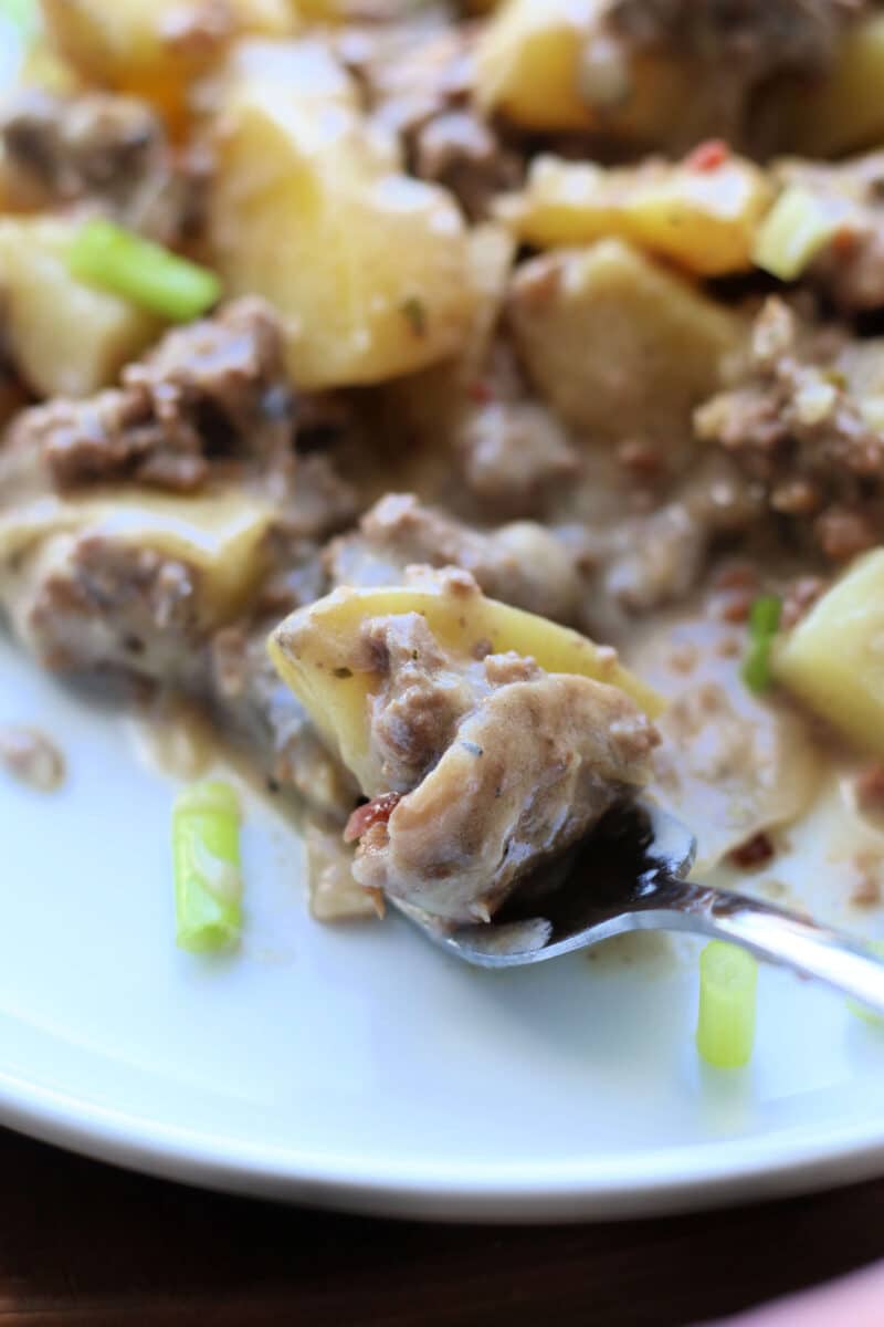 Instant Pot or Crockpot Meat and Potatoes Casserole