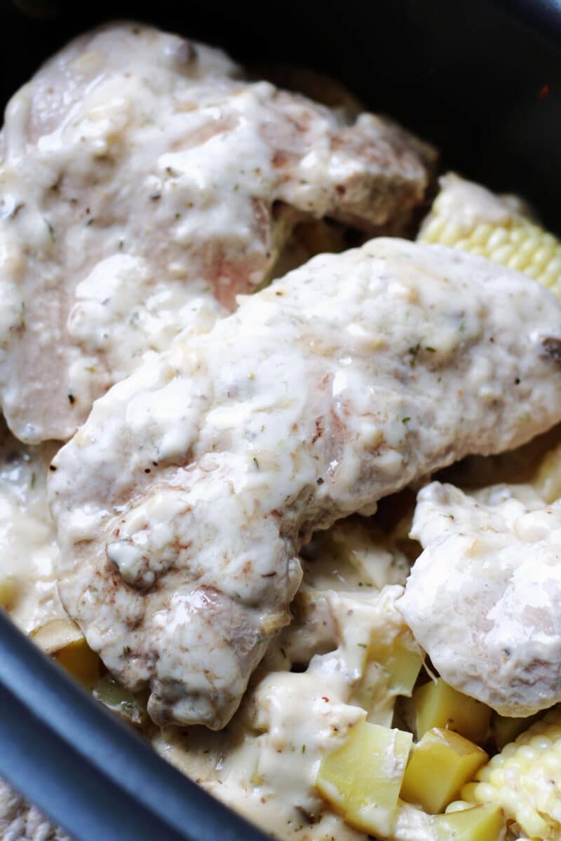 Slow Cooker Pigs in a Cornfield