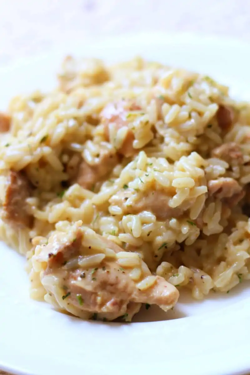Creamy Garlic Parmesan Chicken and Rice