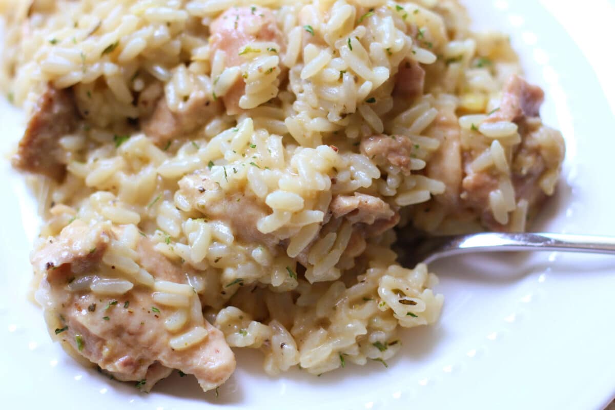 Creamy Garlic Parmesan Chicken and Rice