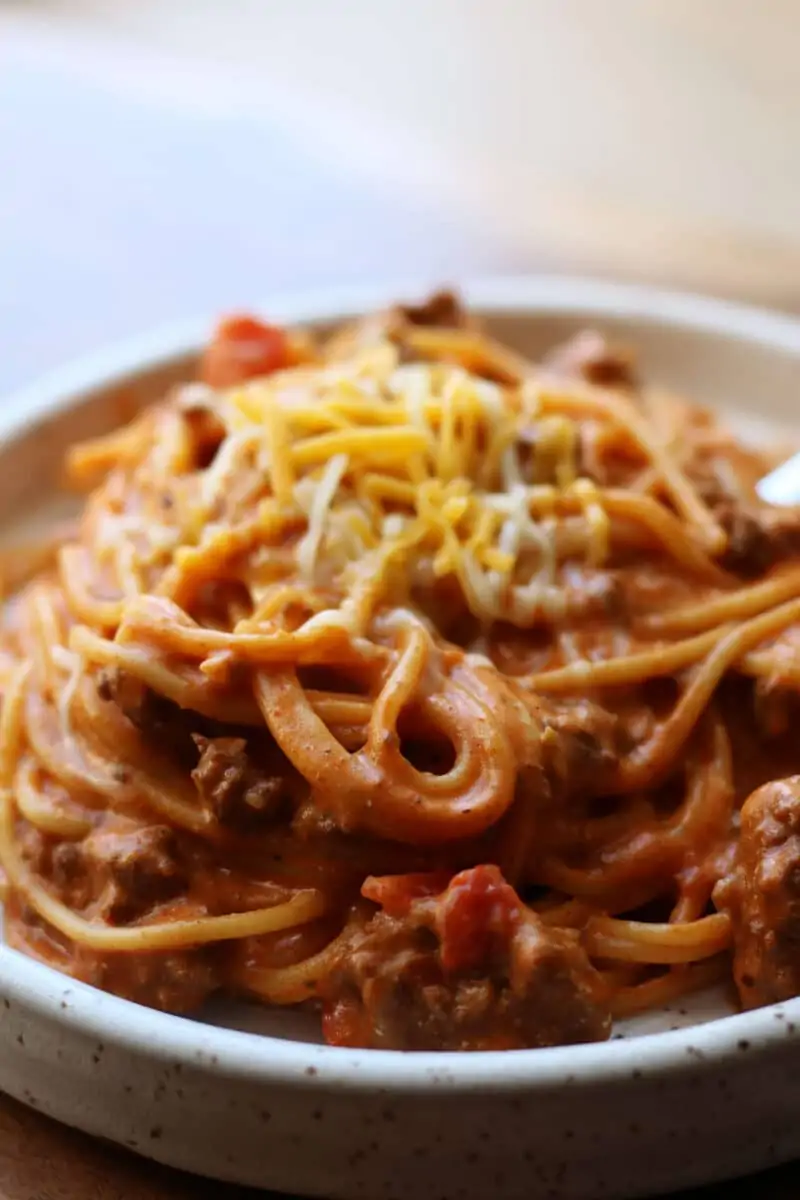 Million Dollar Taco Pasta--an easy Instant Pot dinner made with ground beef, spaghetti, taco seasoning, Rotel and melty cheese.