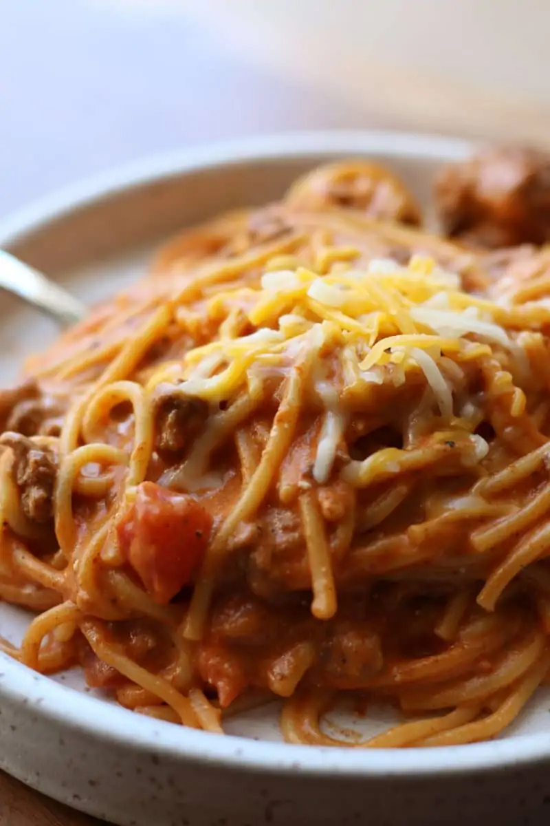 Million Dollar Taco Pasta--an easy Instant Pot dinner made with ground beef, spaghetti, taco seasoning, Rotel and melty cheese.