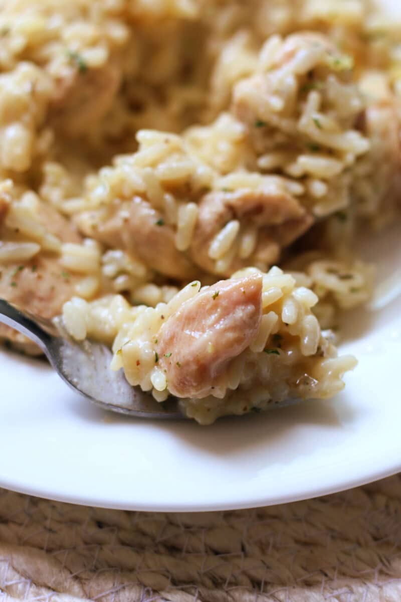 Creamy Garlic Parmesan Chicken and Rice