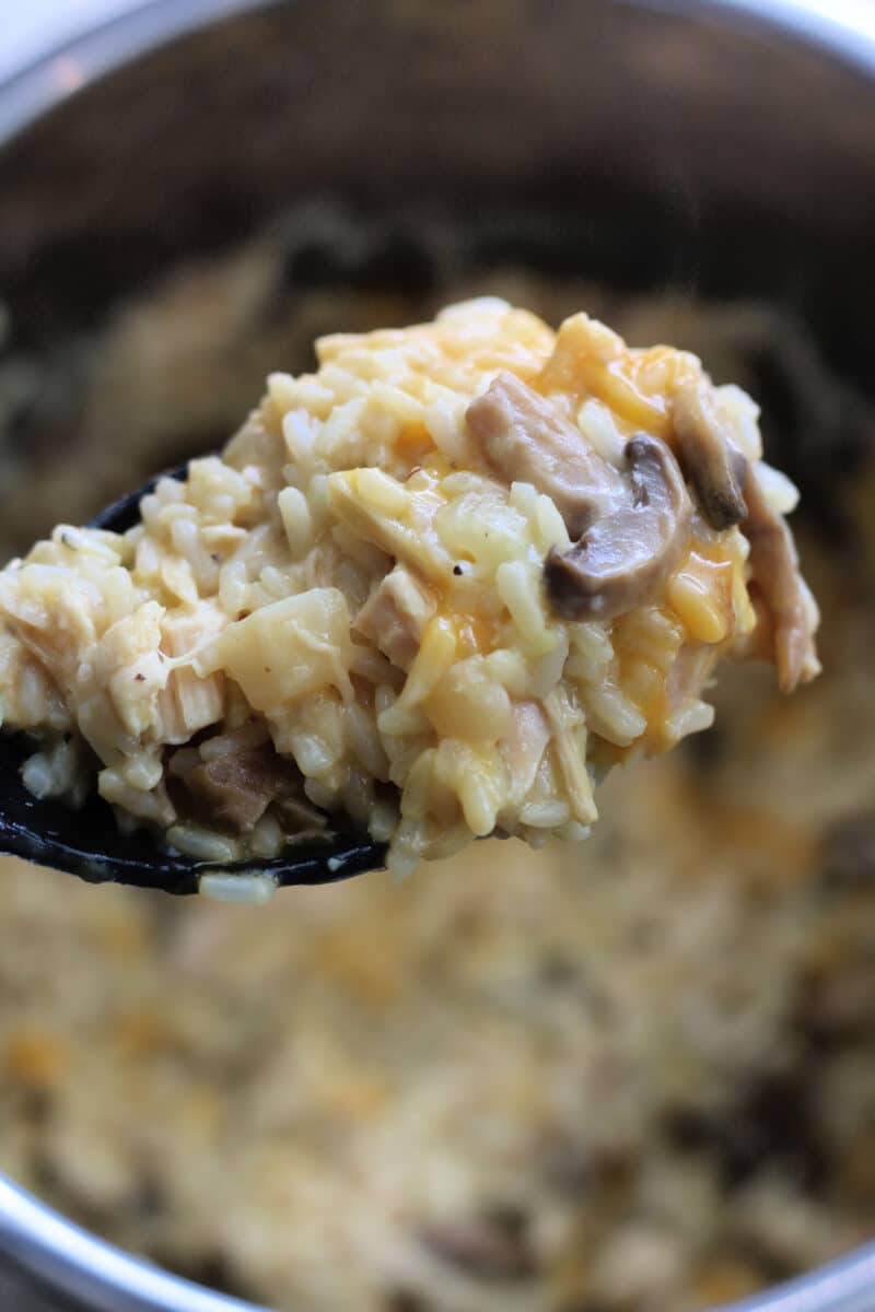 Classic Country Gentlemen's Casserole--an easy Instant Pot or slow cooker dinner made with tender chicken, rice, celery, mushrooms, crunchy water chestnuts and almonds in a creamy, cheesy sauce.